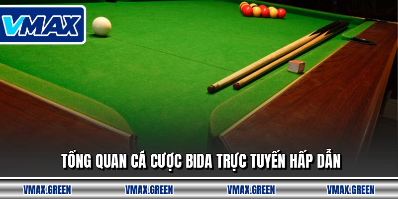 Tổng quan cá cược bida trực tuyến hấp dẫn